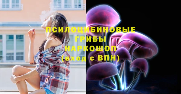мяу мяу кристалл Переславль-Залесский