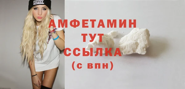 индика Пересвет