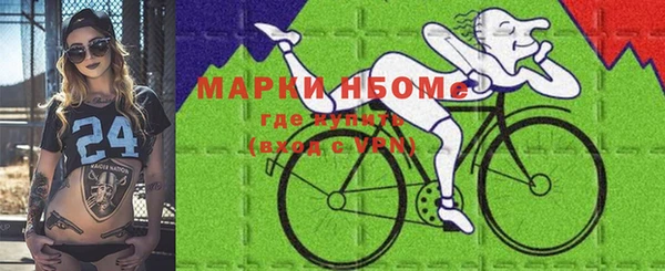 индика Пересвет