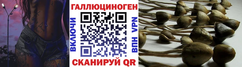 наркошоп  blacksprut ссылка  Галлюциногенные грибы GOLDEN TEACHER  Горбатов 